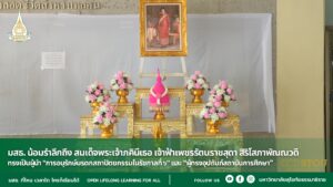 สธ. น้อมรำลึกถึง สมเด็จพระเจ้าภคินีเธอ เจ้าฟ้าเพชรรัตนราชสุดา สิริโสภาพัณณวดี ทรงเป็นผู้นำ "การอนุรักษ์มรดกสถาปัตยกรรมในรัชกาลที่ ๖" และ “ผู้ทรงอุปถัมภ์สถาบันการศึกษา”